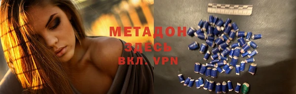 стаф Алексин