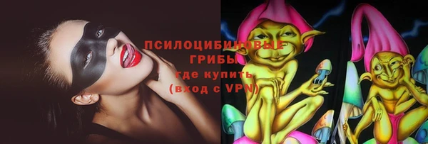 стаф Алексин