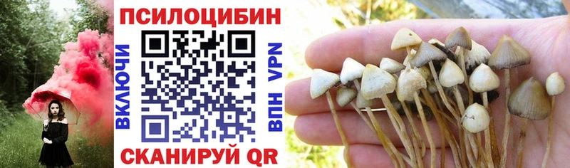 Псилоцибиновые грибы прущие грибы  купить   Алзамай 